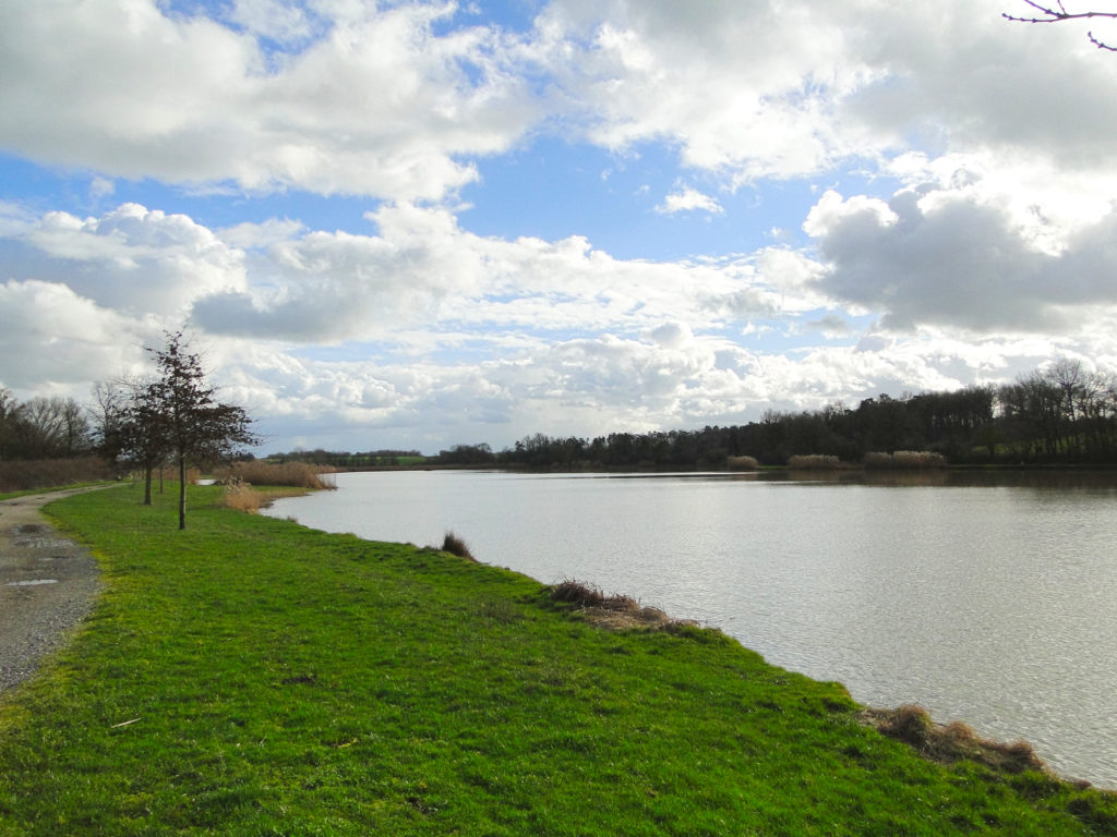 etang peche truite 36