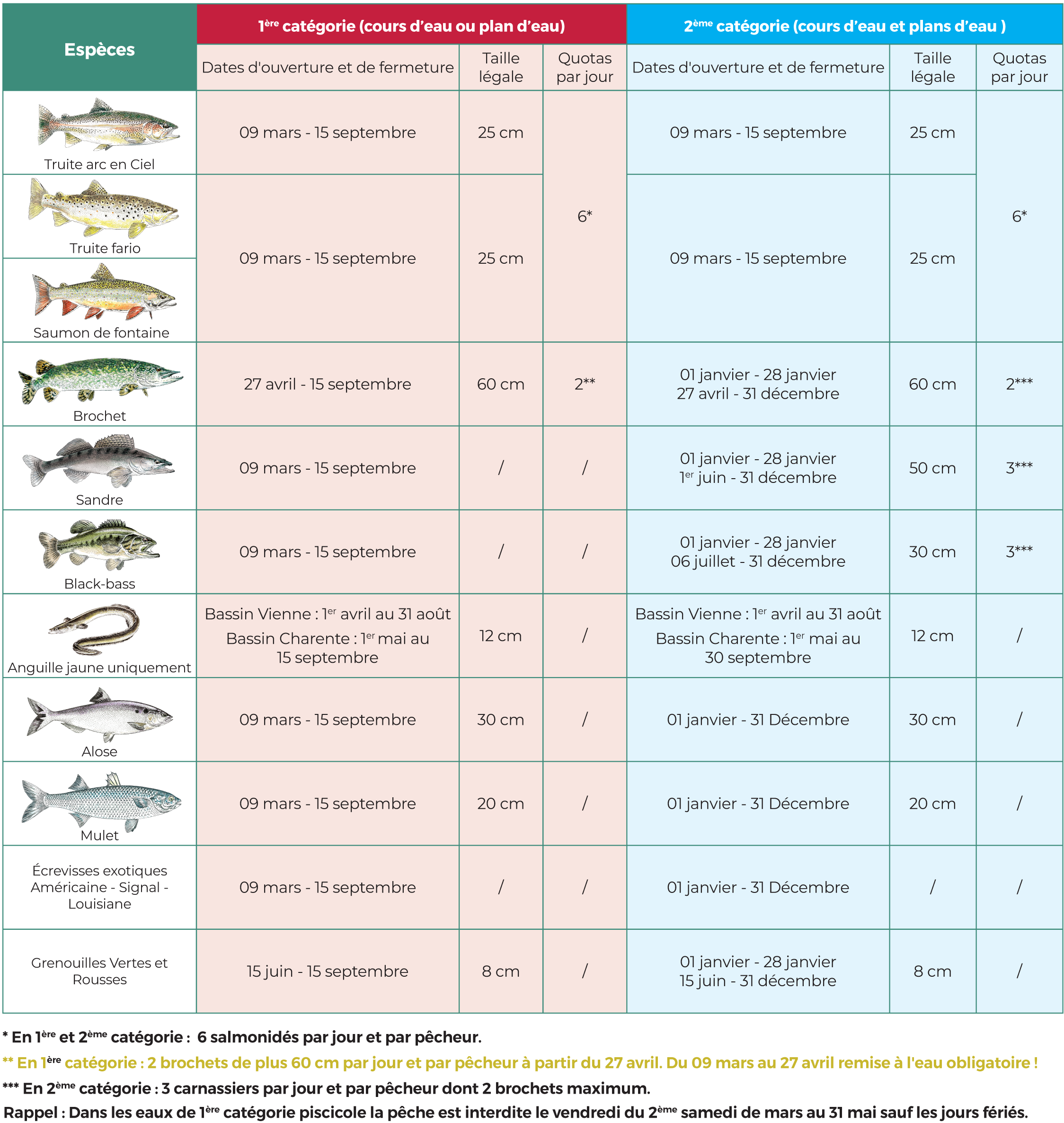 💥 Meilleurs fils de pêche 2024 - guide d'achat et comparatif